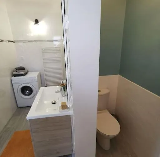 Maisonnette Renovee Et Son Jardin * Châtellerault